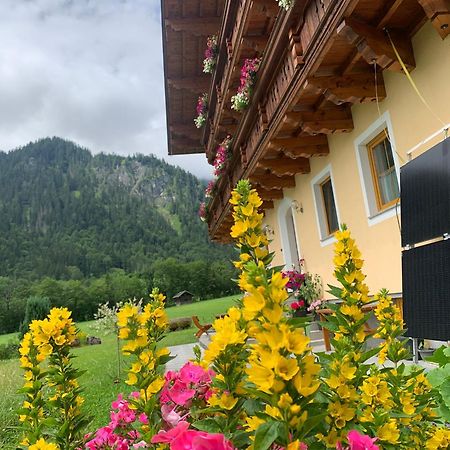 Alpen Appartements Oberlehengut Werfenweng Exterior photo